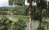 Туры в отель Kandy Rivers Edge Nature Resort Туры в отель Kandy Rivers Edge Nature Resort