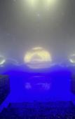 Туры в отель Palmira Art Hotel Туры в отель Palmira Art Hotel