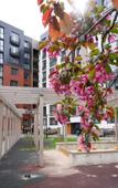 Туры в отель Iris by Pavlov Apartments Туры в отель Iris by Pavlov Apartments