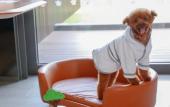 Туры в отель Vignette Collection WM Hotel Hong Kong by IHG Туры в отель Vignette Collection WM Hotel Hong Kong by IHG