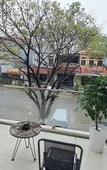 Туры в отель HT Airport Inn Туры в отель HT Airport Inn