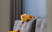 Туры в отель Crystal Corner Apartments Туры в отель Crystal Corner Apartments