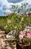Туры в отель Morskoy Ray Guest house Туры в отель Morskoy Ray Guest house