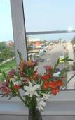 Туры в отель Apartments on Abazgaa street 49/1 Туры в отель Apartments on Abazgaa street 49/1