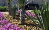 Туры в отель Rompol Guest house Туры в отель Rompol Guest house