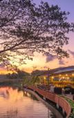 Туры в отель Resort Bolagala Agro Floating Resort Туры в отель Resort Bolagala Agro Floating Resort