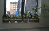 Туры в отель Gorod N Hostel Туры в отель Gorod N Hostel