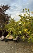 Туры в отель Guest house Mayak Village Туры в отель Guest house Mayak Village