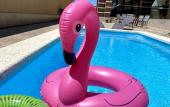 Туры в отель Vikol Guest House Туры в отель Vikol Guest House