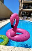 Туры в отель Vikol Guest House Туры в отель Vikol Guest House