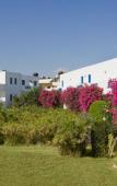 Туры в отель Hara Ilios Village Туры в отель Hara Ilios Village