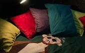 Туры в отель RentalSPb na Makarenko Apartments Туры в отель RentalSPb na Makarenko Apartments