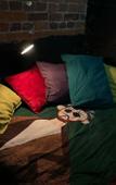 Туры в отель RentalSPb na Makarenko Apartments Туры в отель RentalSPb na Makarenko Apartments