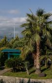 Туры в отель Zolotoy Ogonek Hotel Туры в отель Zolotoy Ogonek Hotel