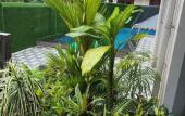 Туры в отель The Terra Hotel Туры в отель The Terra Hotel