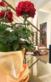 Туры в отель Summer Glow Guest - Nuwara Eliya Туры в отель Summer Glow Guest - Nuwara Eliya
