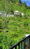 Туры в отель Summer Glow Guest - Nuwara Eliya Туры в отель Summer Glow Guest - Nuwara Eliya