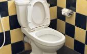 Туры в отель Ramlyn Guesthouse & Restaurant Туры в отель Ramlyn Guesthouse & Restaurant