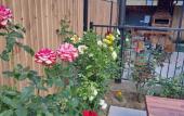 Туры в отель Modern Guest House Туры в отель Modern Guest House