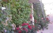 Туры в отель Guest House u Timura Туры в отель Guest House u Timura