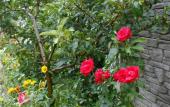 Туры в отель Guest House u Timura Туры в отель Guest House u Timura