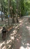 Туры в отель Uchebnyij Tsentr Profsoyuzov Mini-hotel Туры в отель Uchebnyij Tsentr Profsoyuzov Mini-hotel