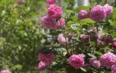 Туры в отель Udacha Hotel Туры в отель Udacha Hotel