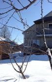 Туры в отель Guest house Volna with a Russian bath Туры в отель Guest house Volna with a Russian bath