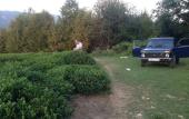 Туры в отель Arial Guest House Туры в отель Arial Guest House
