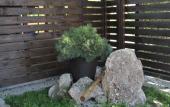 Туры в отель Aksis House Guest House Туры в отель Aksis House Guest House