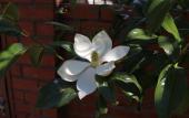 Туры в отель Aksis House Guest House Туры в отель Aksis House Guest House