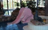 Туры в отель Imatra Spa Sport Camp - Hostel Туры в отель Imatra Spa Sport Camp - Hostel