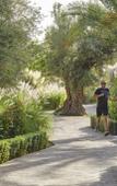 Туры в отель Mandarin Oriental, Marrakech Туры в отель Mandarin Oriental, Marrakech