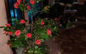 Туры в отель Versal Guest House Туры в отель Versal Guest House