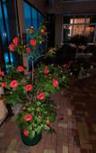 Туры в отель Versal Guest House Туры в отель Versal Guest House