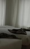 Туры в отель Belle Vues Hotel Туры в отель Belle Vues Hotel