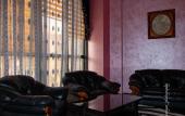 Туры в отель Hotel Vanatur Туры в отель Hotel Vanatur