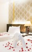 Туры в отель The Y Boutique Hotel Туры в отель The Y Boutique Hotel