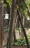 Туры в отель Grand Hyatt Chengdu Туры в отель Grand Hyatt Chengdu