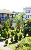 Туры в отель Alashara Guest House Туры в отель Alashara Guest House