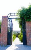 Туры в отель Alashara Guest House Туры в отель Alashara Guest House