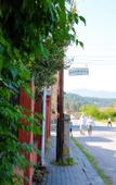 Туры в отель Alashara Guest House Туры в отель Alashara Guest House