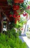Туры в отель Alashara Guest House Туры в отель Alashara Guest House
