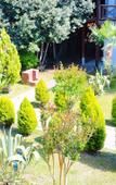 Туры в отель Alashara Guest House Туры в отель Alashara Guest House