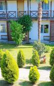 Туры в отель Alashara Guest House Туры в отель Alashara Guest House