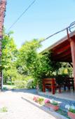 Туры в отель Alashara Guest House Туры в отель Alashara Guest House