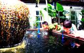 Туры в отель Ganesha House Туры в отель Ganesha House