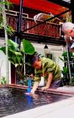 Туры в отель Ganesha House Туры в отель Ganesha House