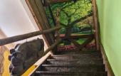 Туры в отель Prival hotel Туры в отель Prival hotel