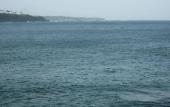 Туры в отель Blow Hole View Home Stay Туры в отель Blow Hole View Home Stay